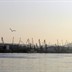 Морской торговый порт - Владивосток